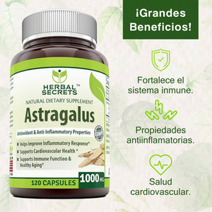 HERBAL SECRETS® ASTRAGALUS 1000MG 120 CAPSULES