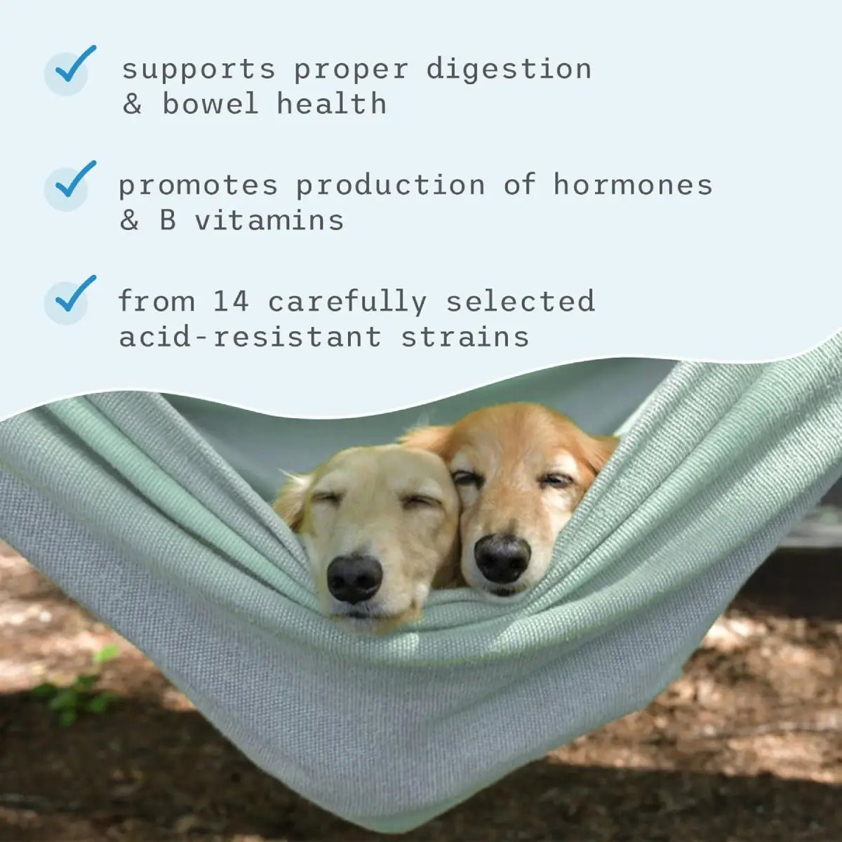 Bark & Whiskers Complete Probiotics para Mascotas 3.17 Oz 90 G - Hi Vitamins