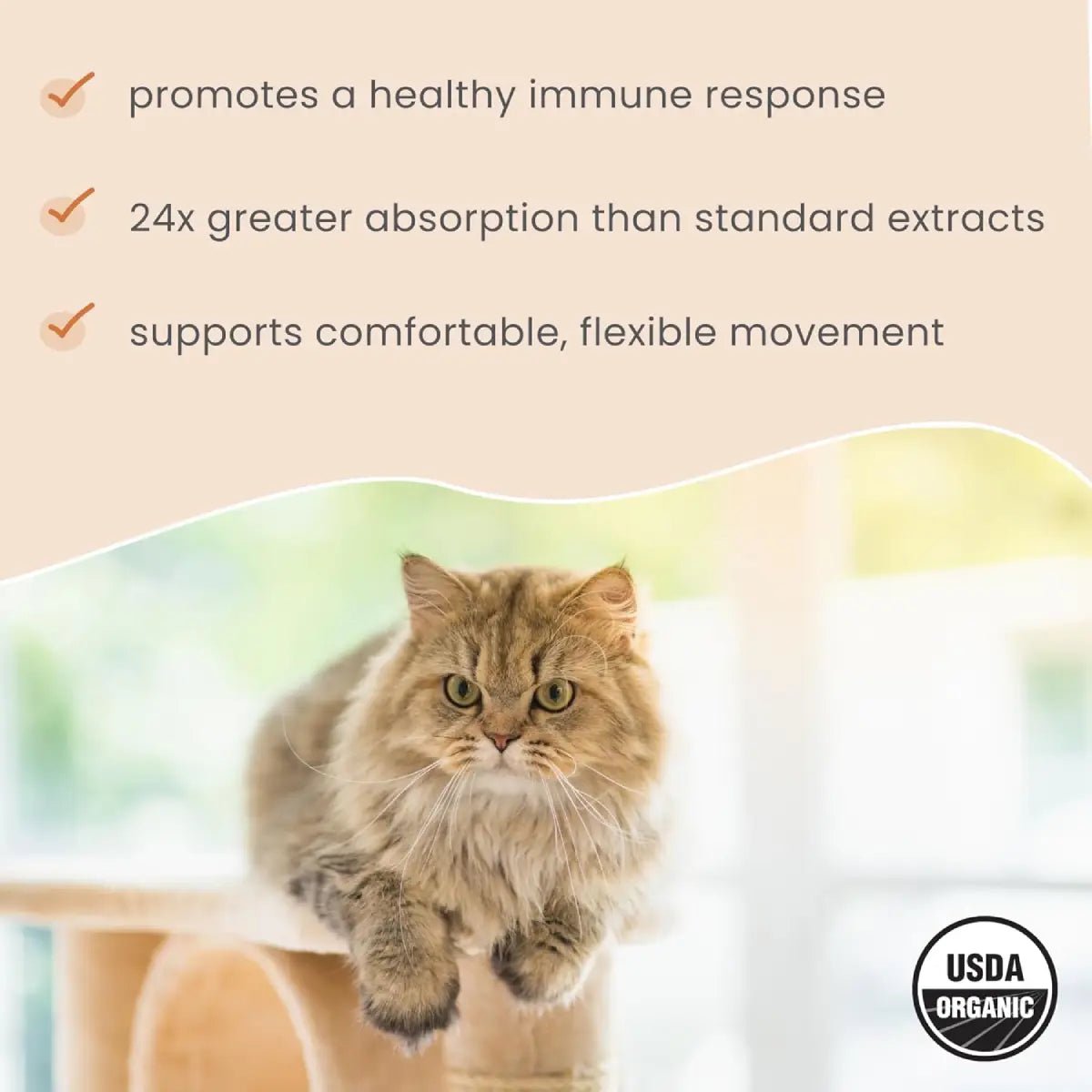 Bark & Whiskers Cúrcuma Orgánica para Mascotas 2.64 Oz 75 G - Hi Vitamins