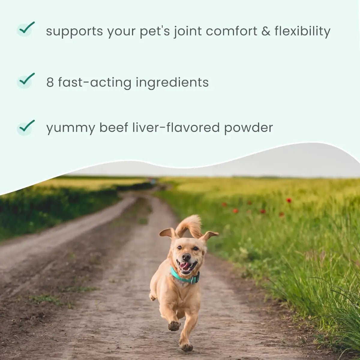 Bark & Whiskers Joint Support para Mascotas 1.69 Oz 48 G - Hi Vitamins