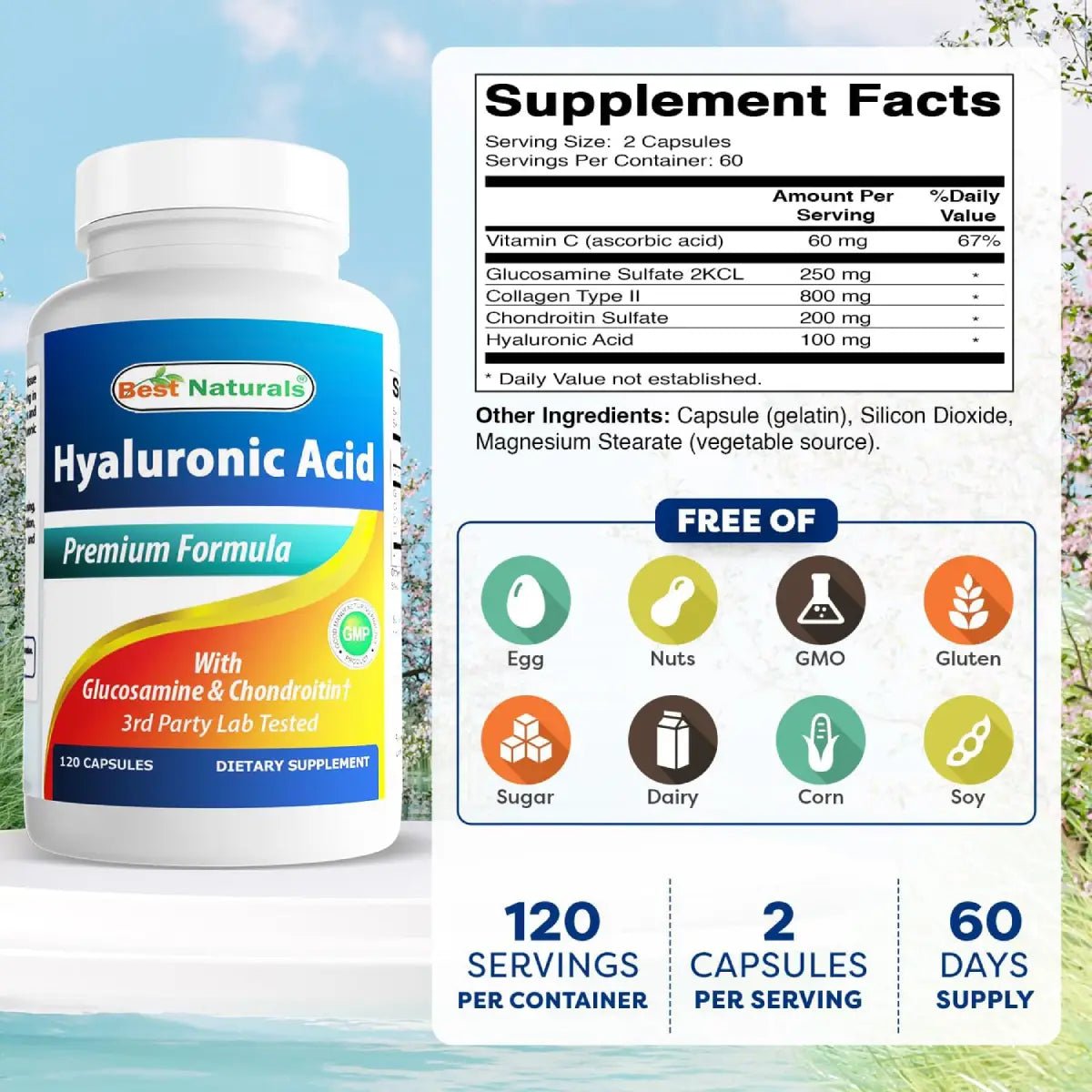 Best Naturals Ácido Hialurónico 100 Mg 120 Cápsulas - Hi Vitamins