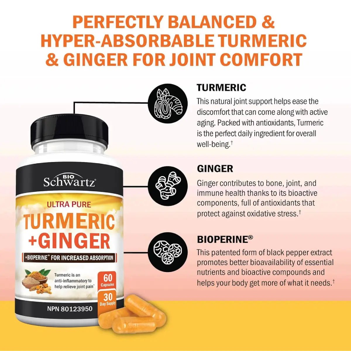 Bio Schwartz Turmeric + Ginger 60 Cápsulas - Hi Vitamins