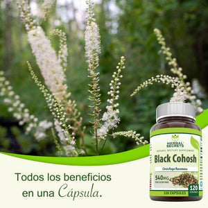 HERBAL SECRETS® BLACK COHOSH 540MG 120 CAPSULES