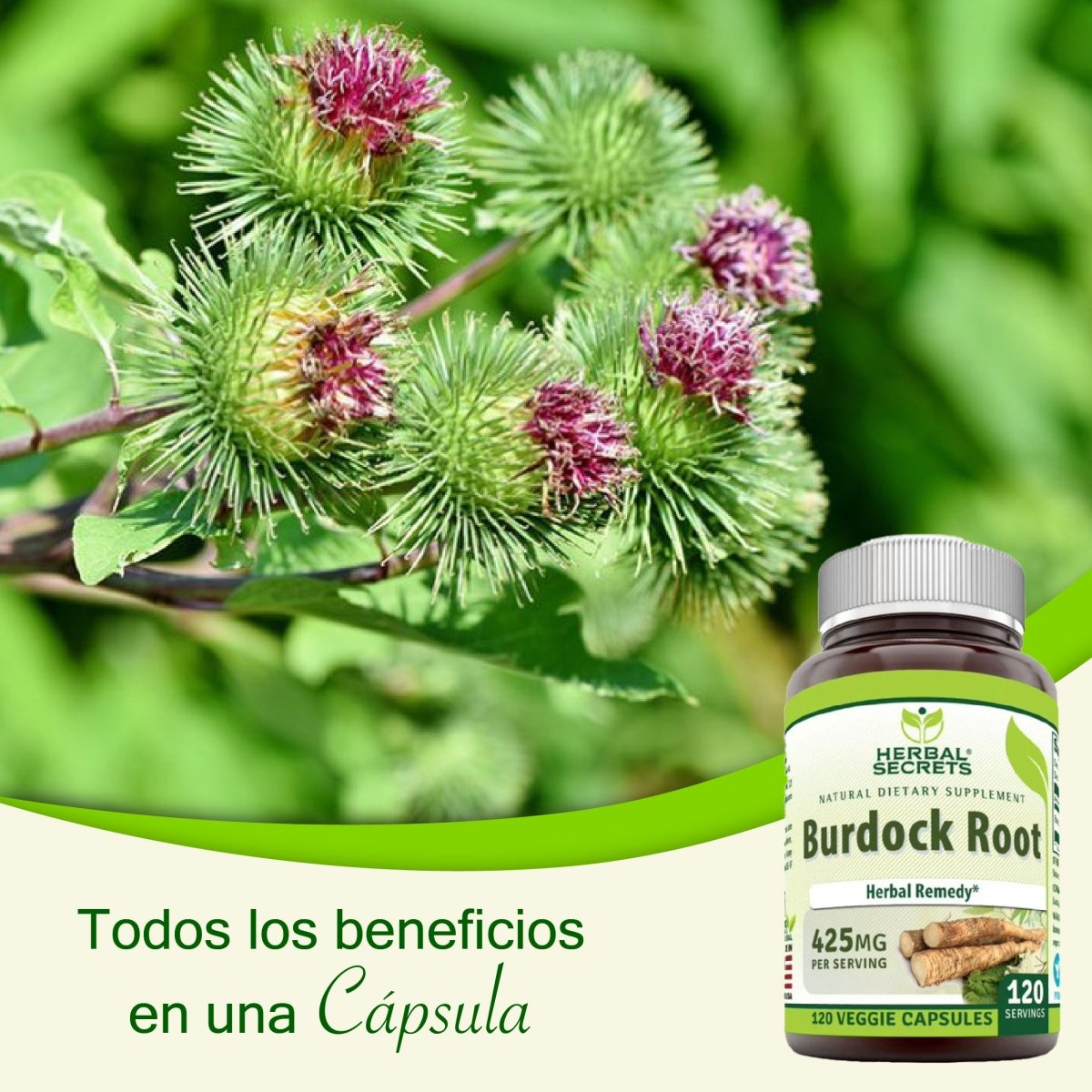 Herbal Secrets® Raíz de Bardana 425mg 120 Cápsulas - Hi Vitamins
