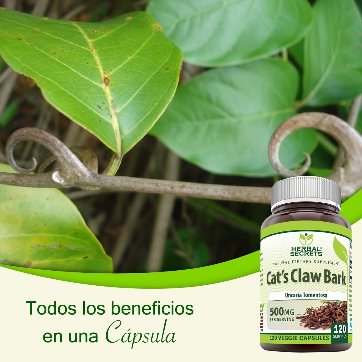 Herbal Secrets Cat's Claw Bark 120 Cápsulas - Hi Vitamins
