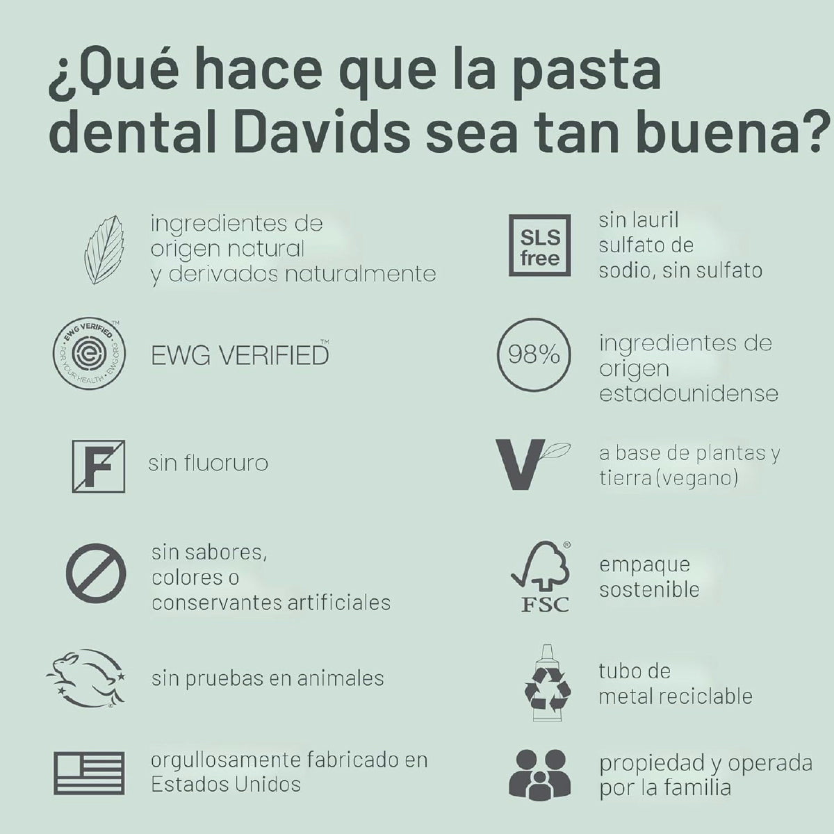 Davids Pasta Dental de Carbón 149 g Blanqueamiento Dental Natural Antiplaca y Frescura de Menta