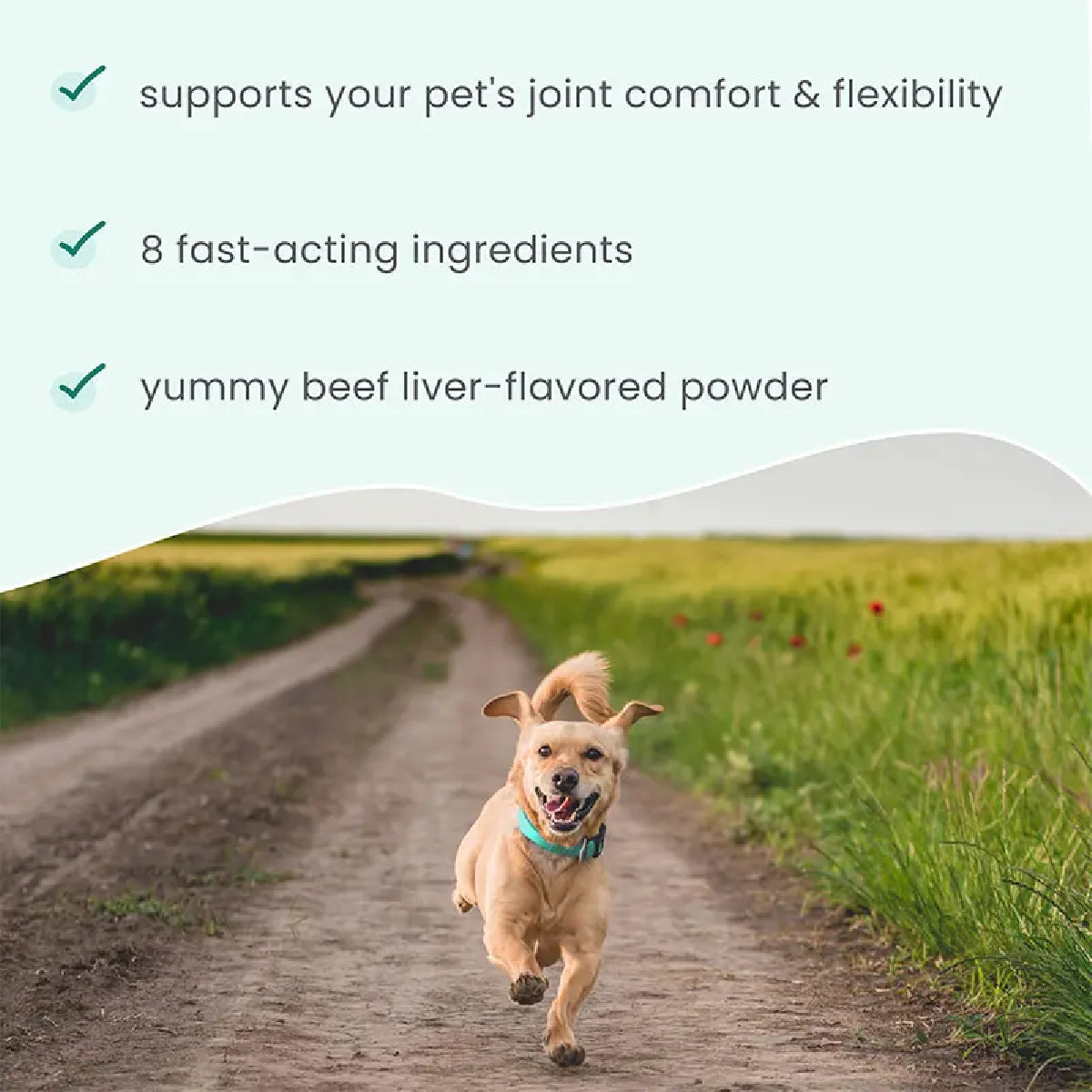 Dr. Mercola Bark & Whiskers Joint Support 48 g Suplemento en Polvo para Perros y Gatos Apoyo Movilidad y Salud Articular