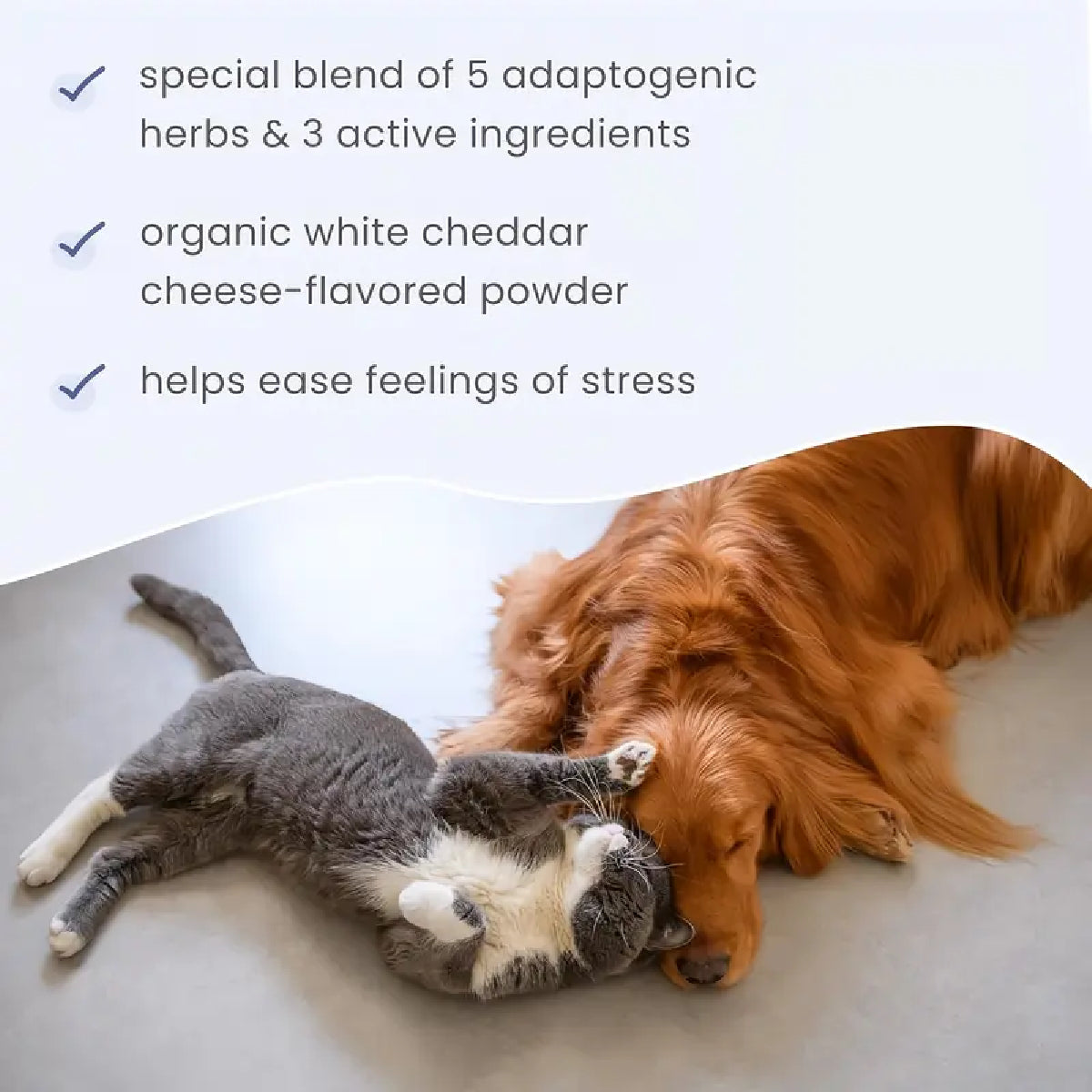 Dr. Mercola Bark & Whiskers Stress Support 36.8 g Suplemento en Polvo para Perros y Gatos Apoyo Calma y Bienestar Emocional