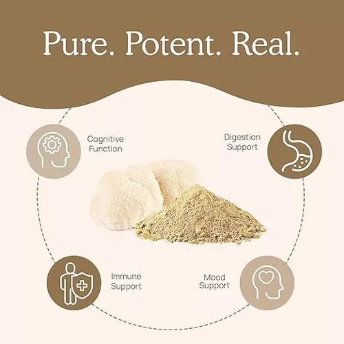 REAL MUSHROOMS™ LION'S MANE COGNITION 500 MG 120 CAPSULES - Hi Vitamins