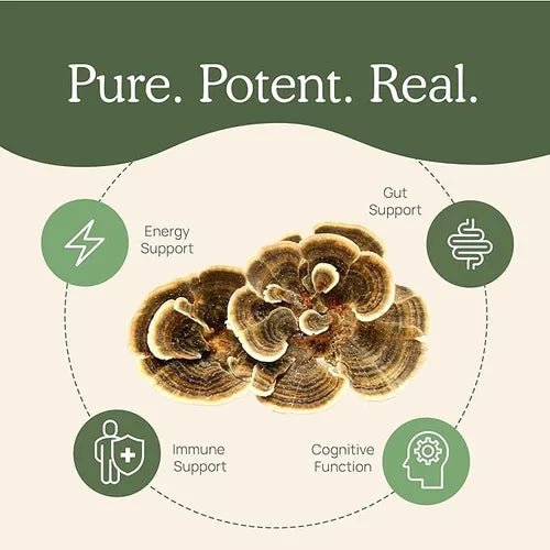 Real Mushrooms Turkey Tail Apoyo Inmunológico 1.59oz 45 Porciones - Hi Vitamins