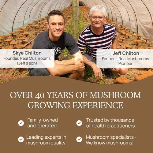 Real Mushrooms Lion's Mane Cognition 300 Cápsulas - Hi Vitamins