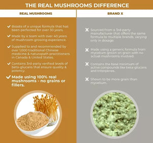 REAL MUSHROOMS™ CORDYCEPS- M 500 MG 120 CAPSULES