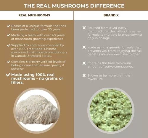 REAL MUSHROOMS™ LION'S MANE COGNITION 500 MG 120 CAPSULES - Hi Vitamins
