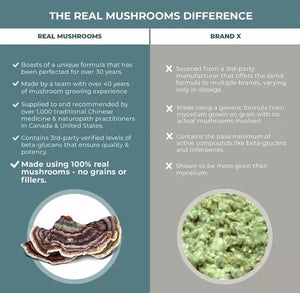 REAL MUSHROOMS™ TURKEY TAIL 90 CAPSULES