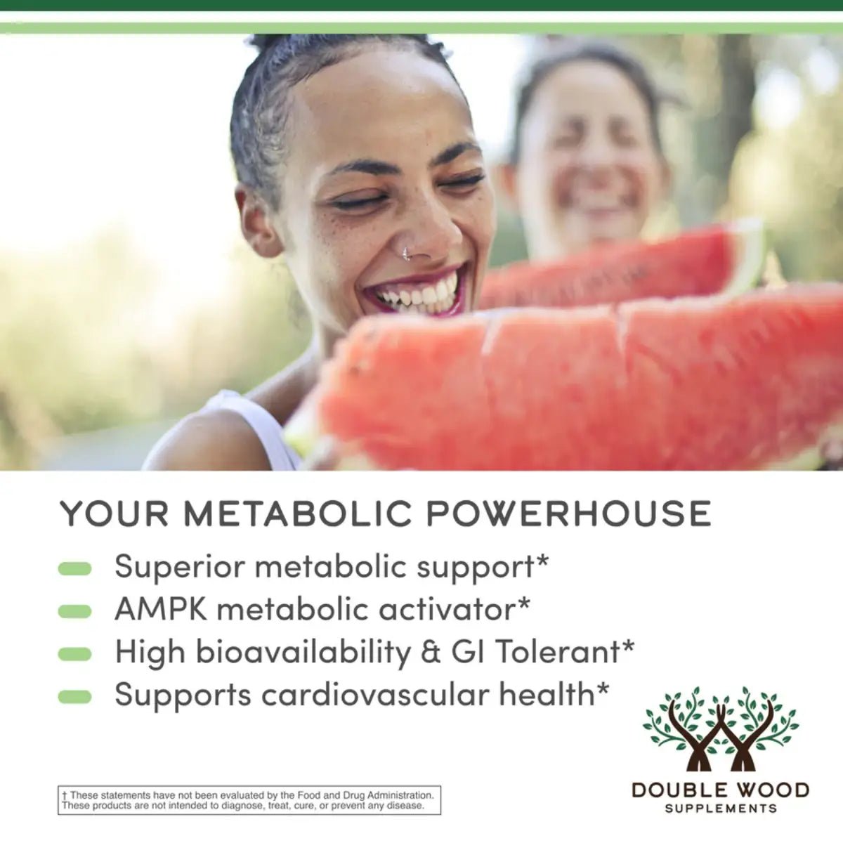 Double Wood Berberina 500mg 60 Cápsulas - Hi Vitamins