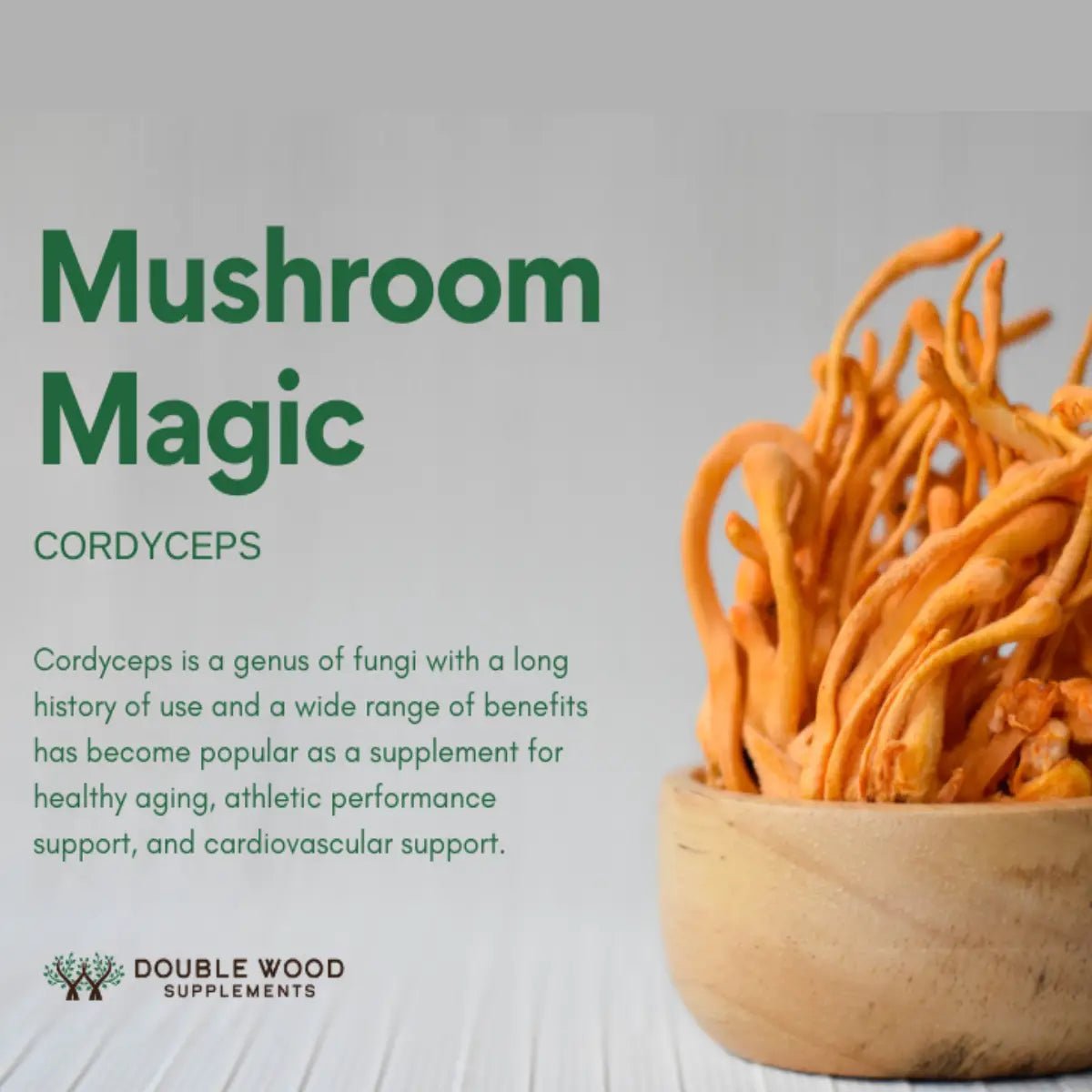 Double Wood Cordyceps Mushroom Extract 1000mg 210 Cápsulas - Hi Vitamins