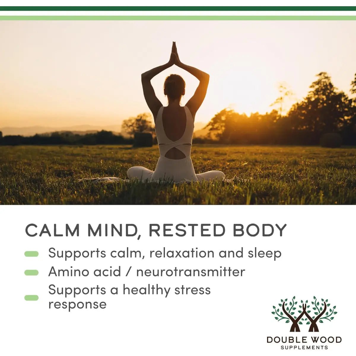 Double Wood GABA 1000 mg 300 Cápsulas - Hi Vitamins