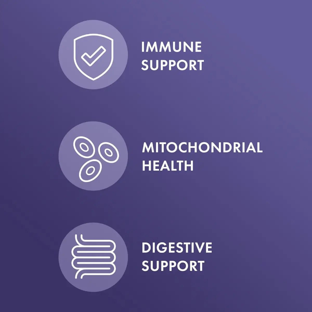 Dr Mercola® Enzimas de Espectro Completo 90 Cápsulas - Hi Vitamins