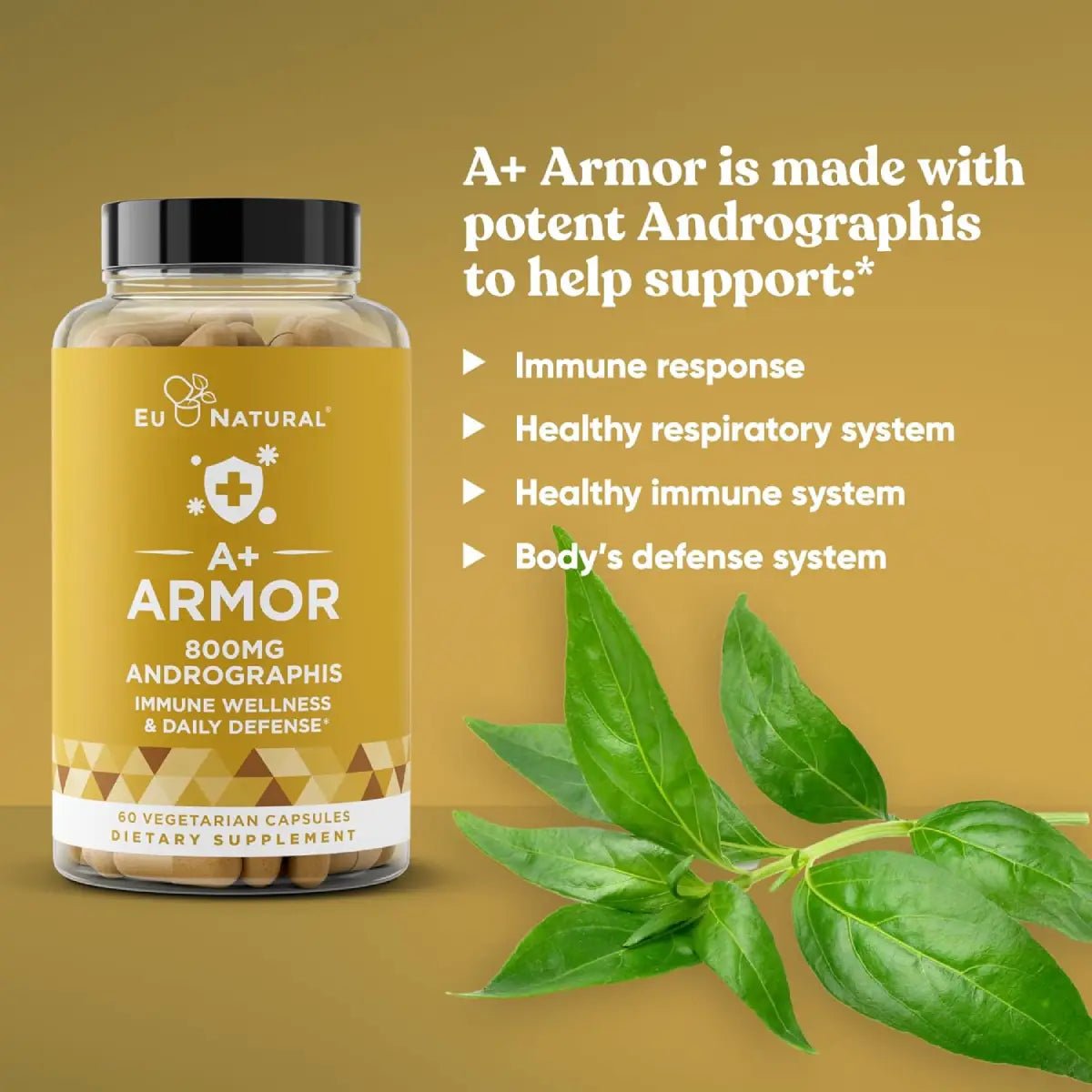 Eu Natural A+ Armor Andrographis Pure 800 mg 60 cápsulas - Hi Vitamins