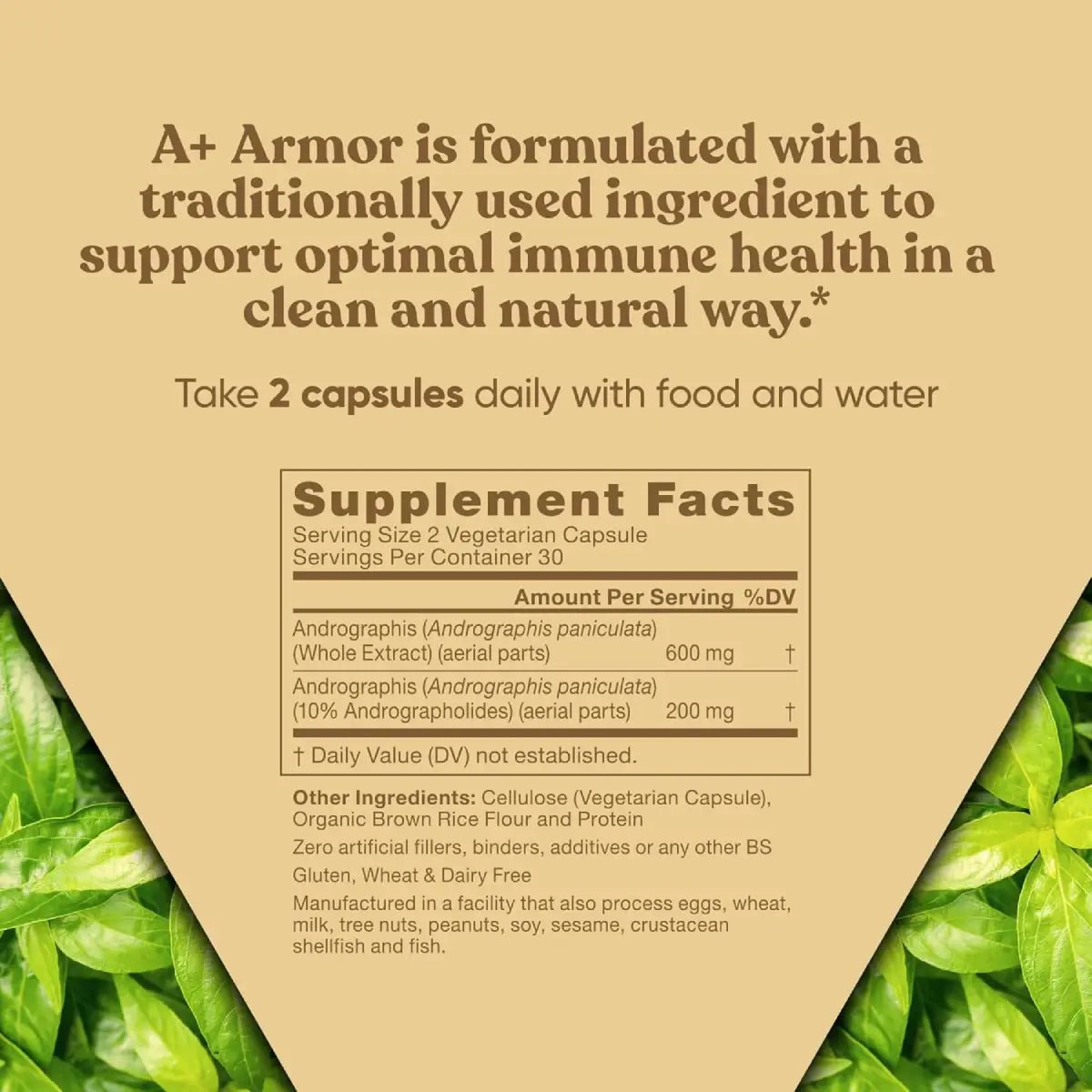 Eu Natural A+ Armor Andrographis Pure 800 mg 60 cápsulas - Hi Vitamins