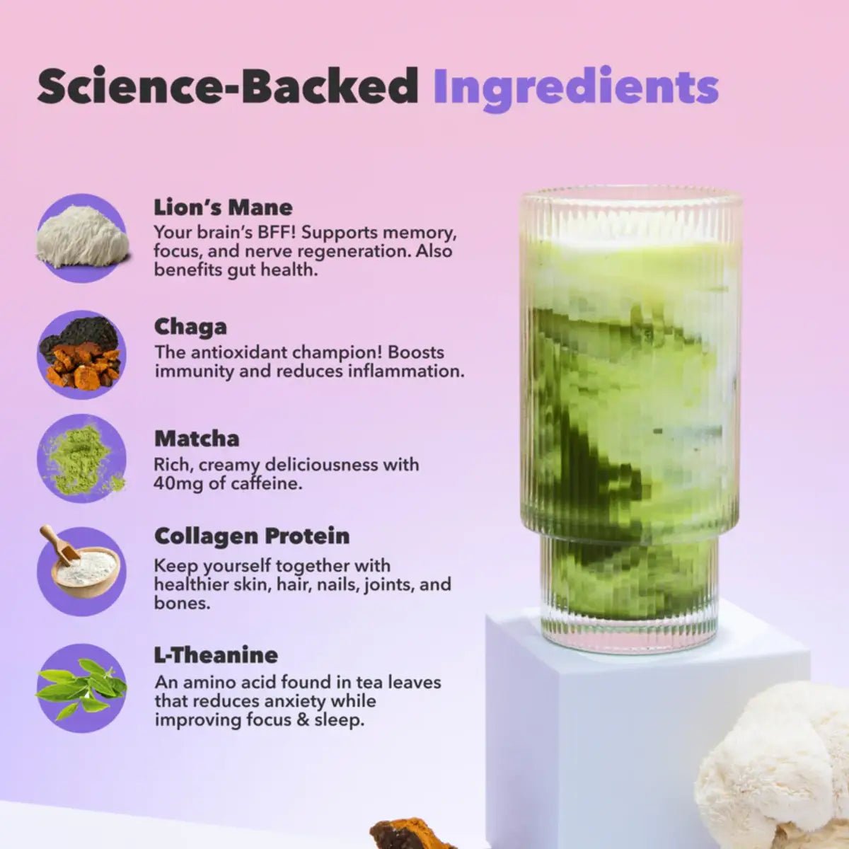 Everyday Dose® Mushroom Matcha+ 210 g - Hi Vitamins