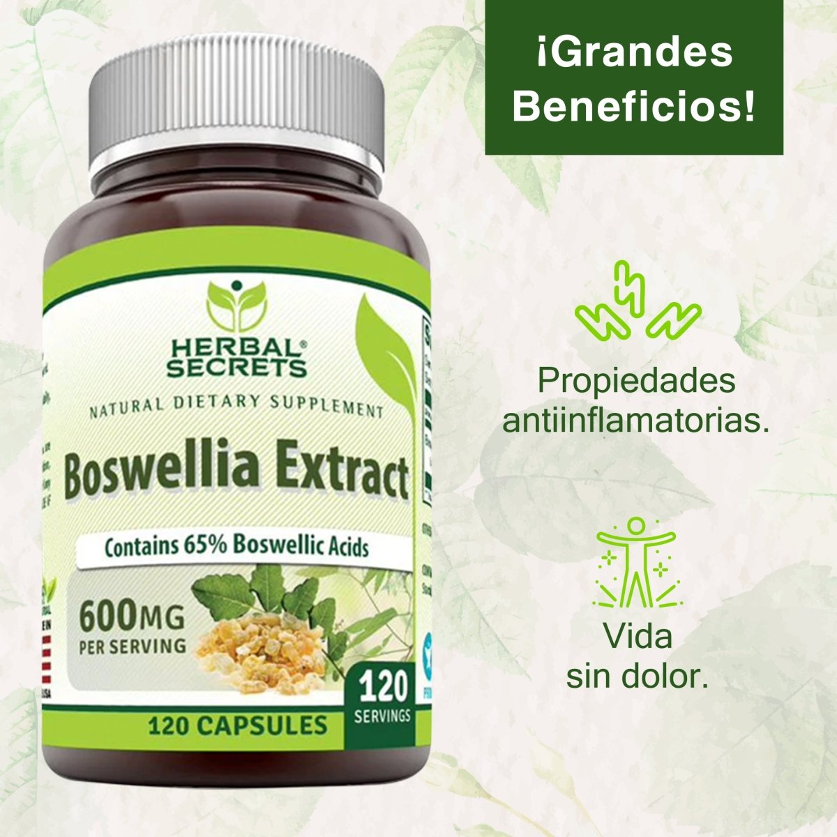 Herbal Secrets ® Boswellia Extract Serrata 600mg 120 Cápsulas - Hi Vitamins