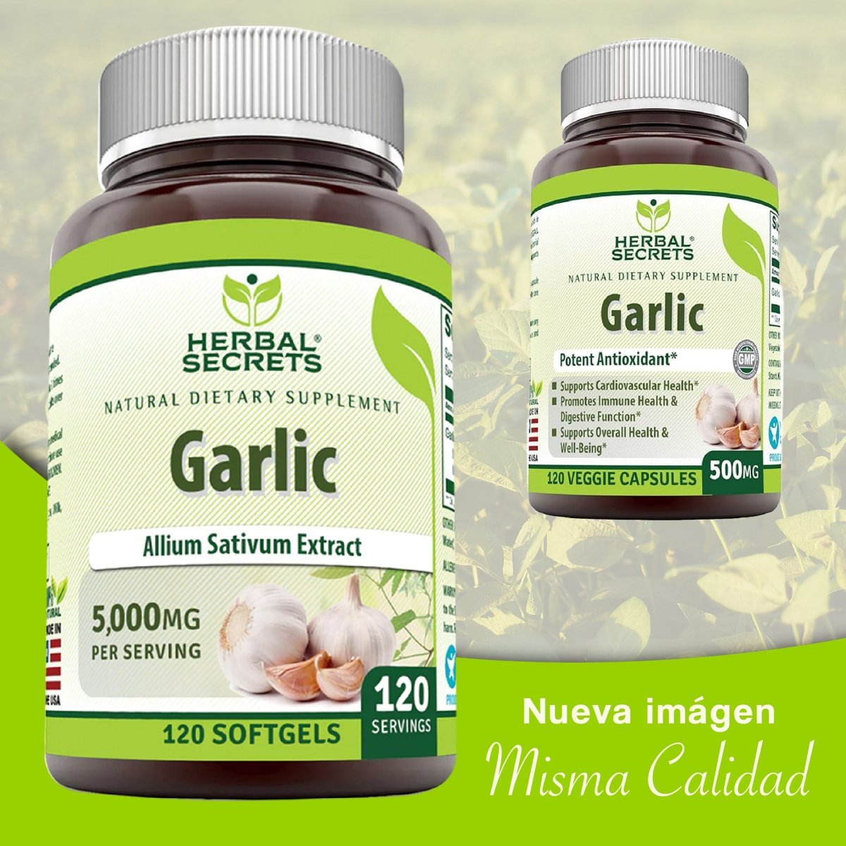 Herbal Secrets® Ajo 500mg 120 Cápsulas - Hi Vitamins