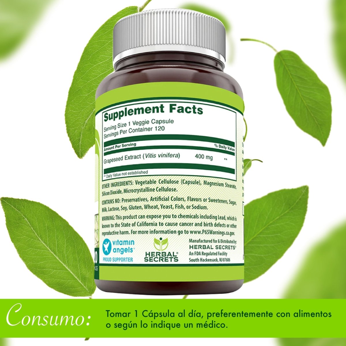 Herbal Secrets ® Grapeseed Extract 400mg 120 Cápsulas - Hi Vitamins