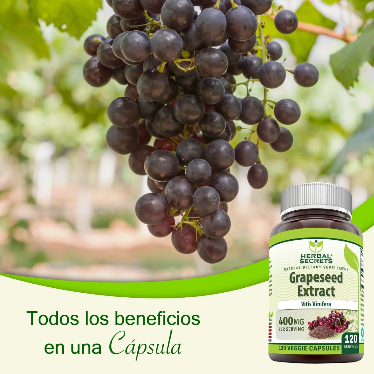 Herbal Secrets ® Grapeseed Extract 400mg 120 Cápsulas - Hi Vitamins