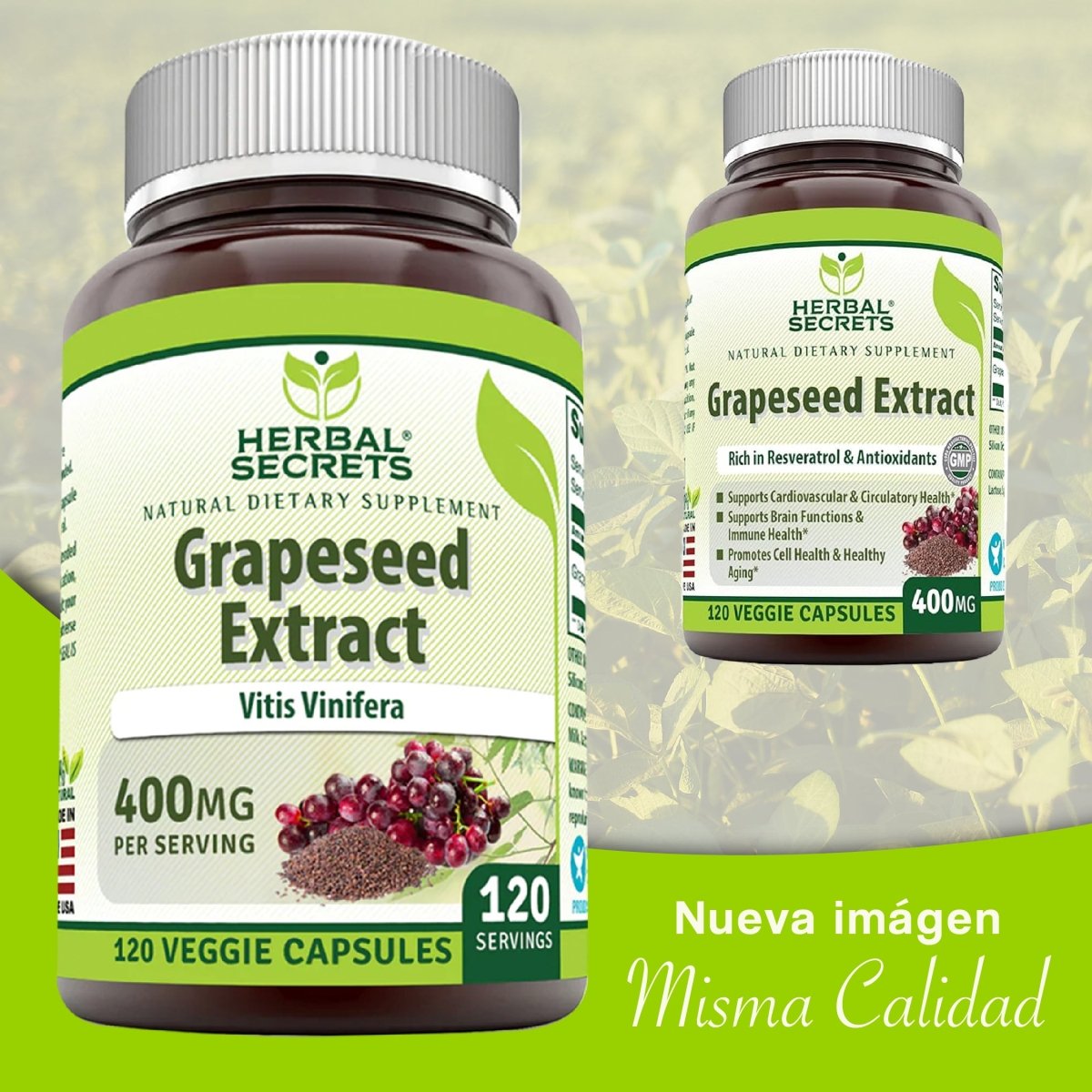 Herbal Secrets ® Grapeseed Extract 400mg 120 Cápsulas - Hi Vitamins