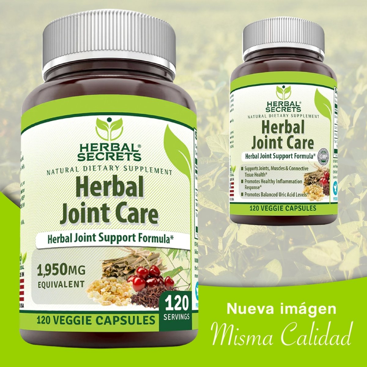 HERBAL SECRETS® HERBAL JOINT CARE 120 CAPSULES - Hi Vitamins
