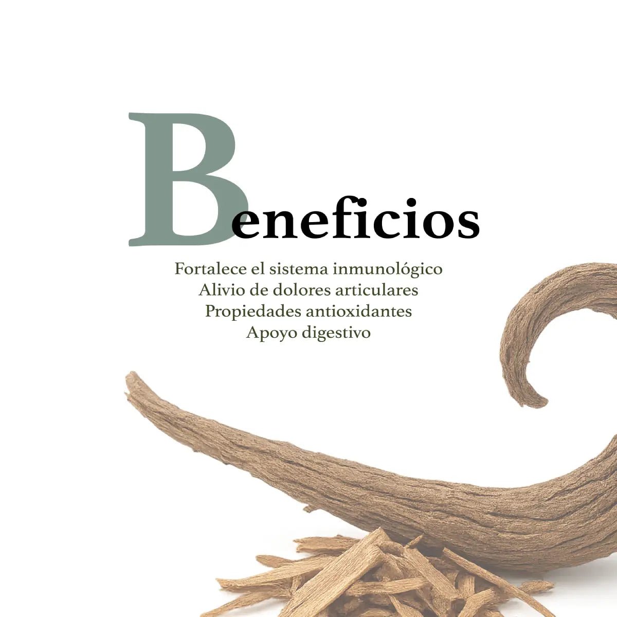 Herbal Secrets Cat's Claw Bark 120 Cápsulas - Hi Vitamins