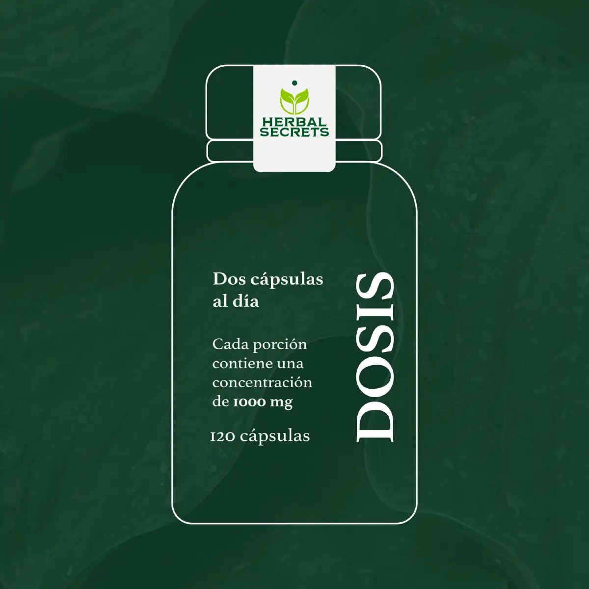 Herbal Secrets Holy Basil 1000 Mg 120 Cápsulas - Hi Vitamins