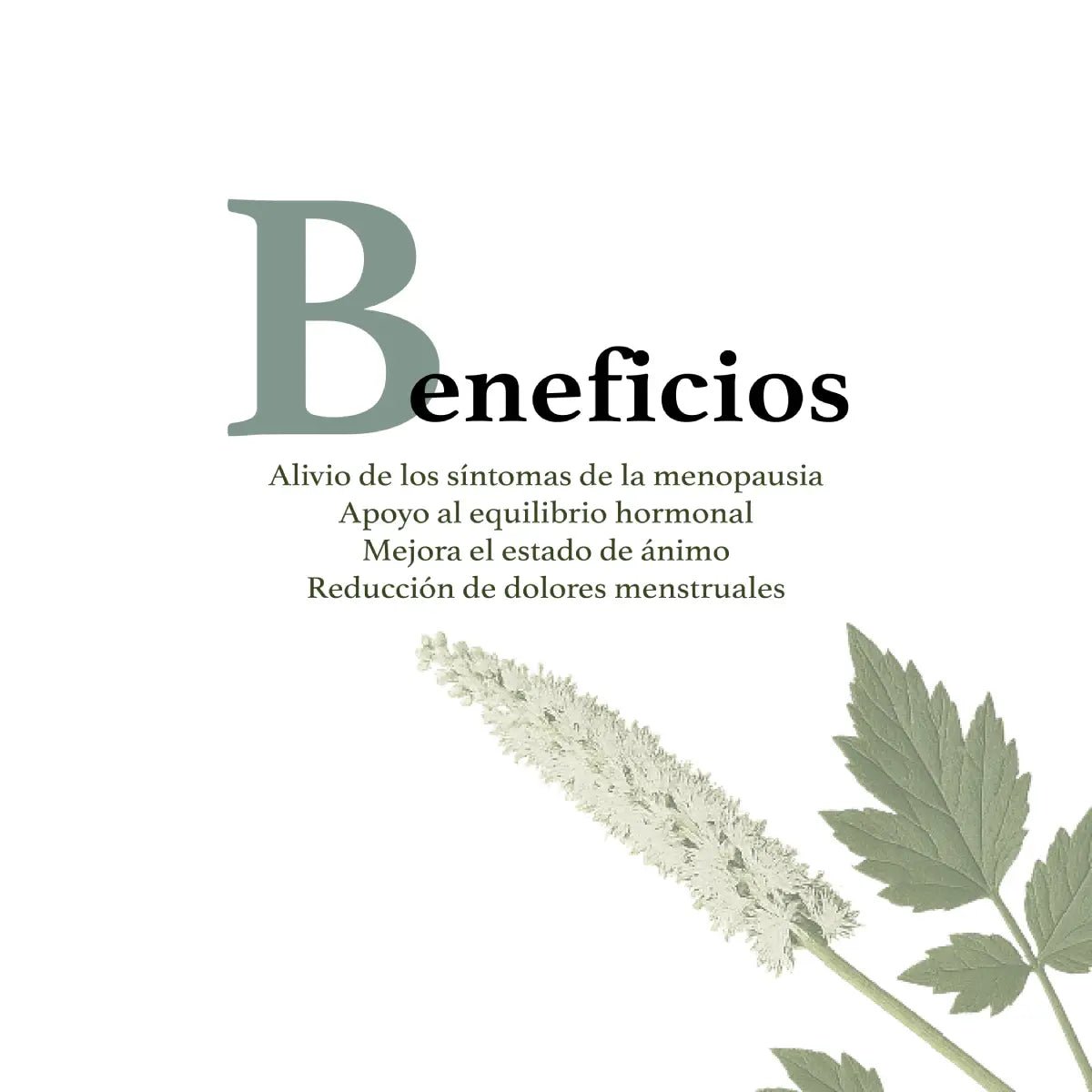 Herbal Secrets® Black Cohosh 540mg 120 Cápsulas - Hi Vitamins