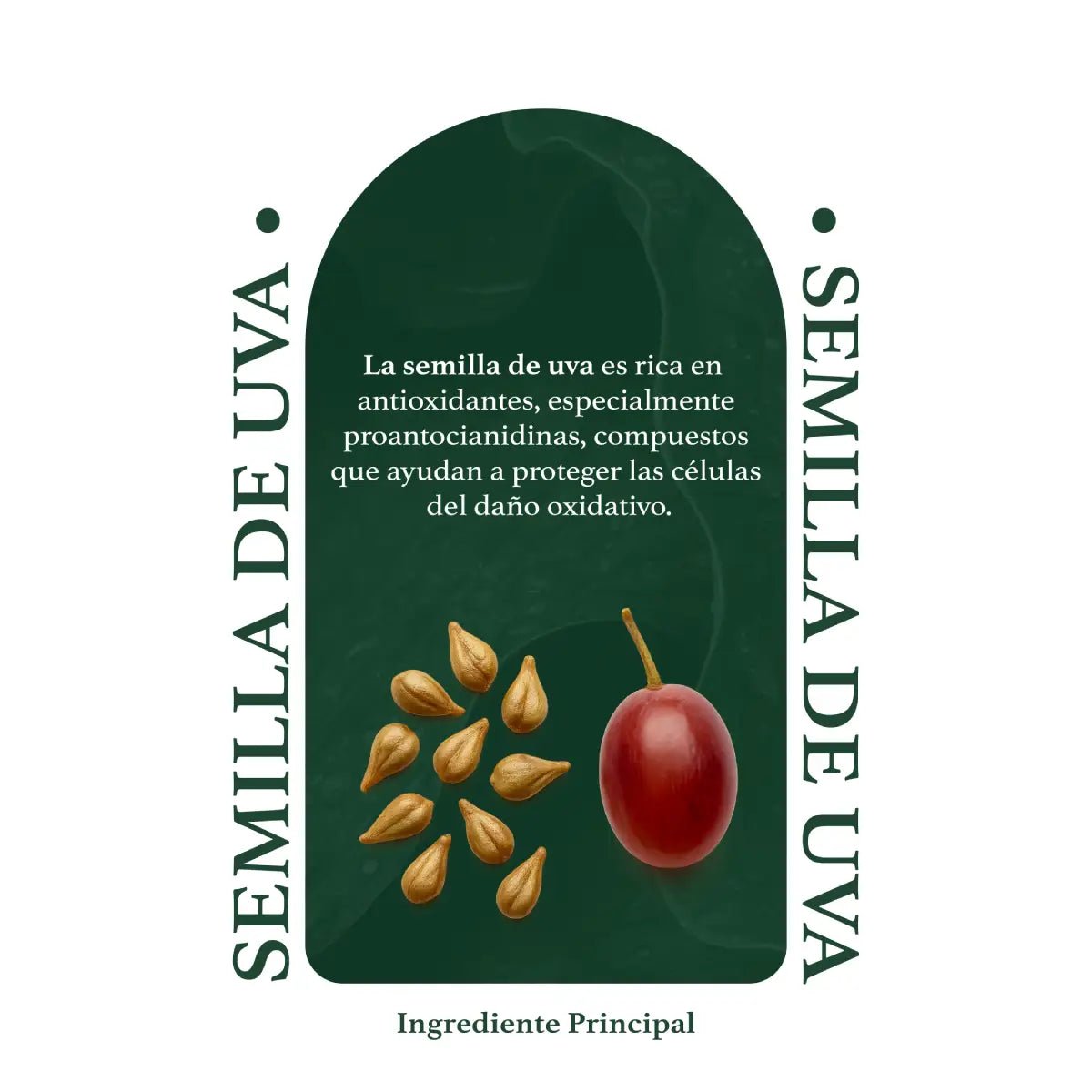 Herbal Secrets® Extracto de Semilla de Uva 400mg 120 Cápsulas - Hi Vitamins