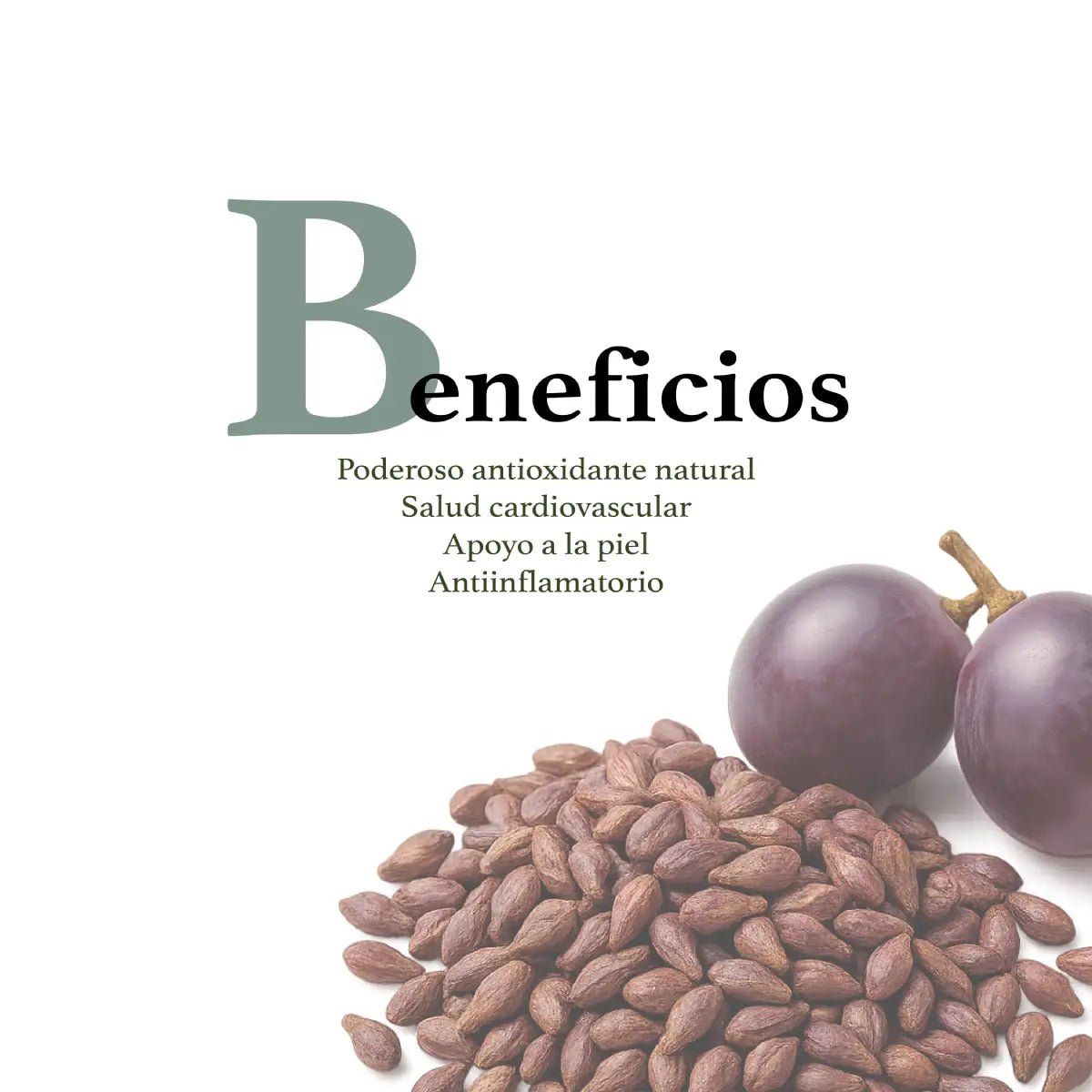 Herbal Secrets® Extracto de Semilla de Uva 400mg 120 Cápsulas - Hi Vitamins