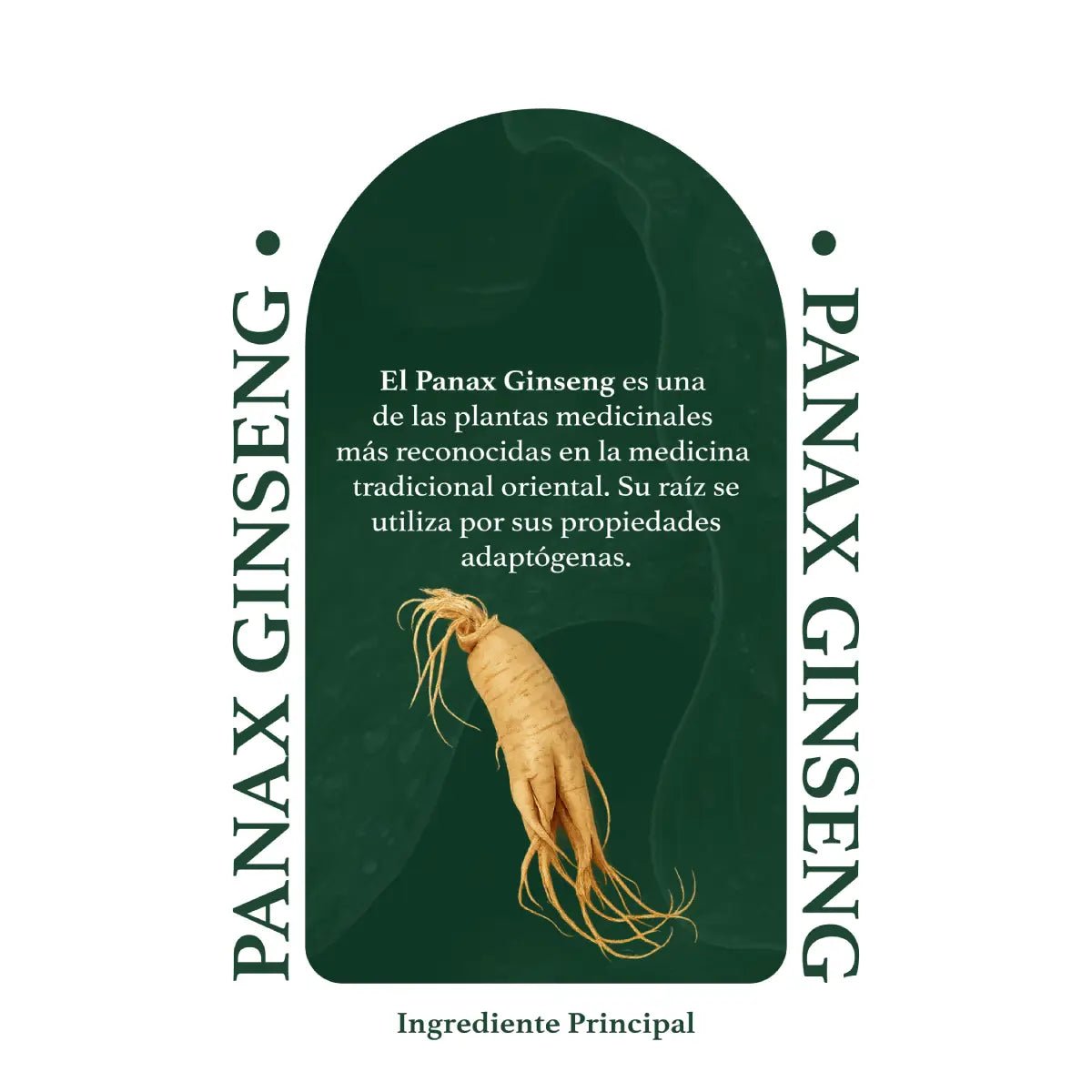 Herbal Secrets® Panax Ginseng 500mg 120 Cápsulas - Hi Vitamins