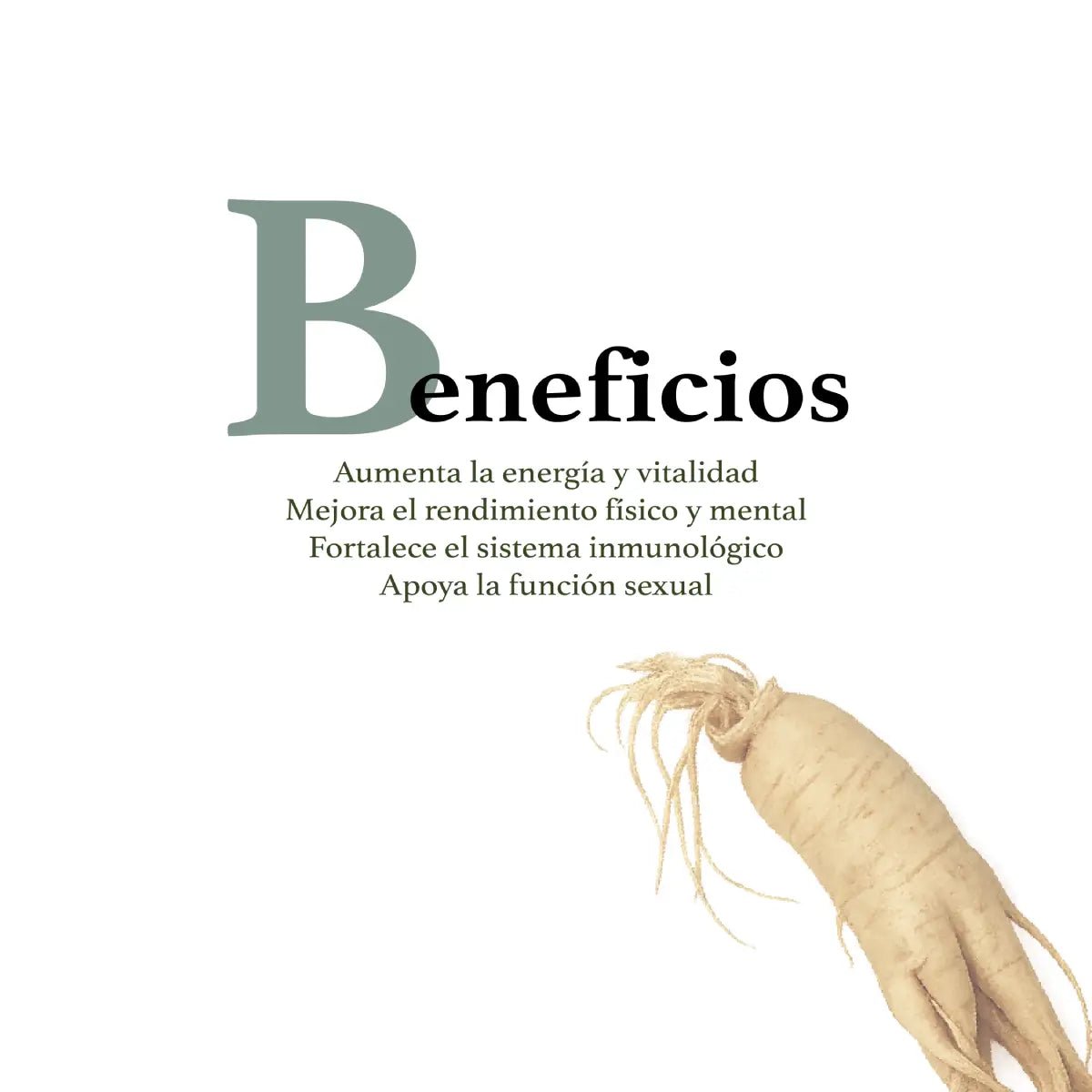 Herbal Secrets® Panax Ginseng 500mg 120 Cápsulas - Hi Vitamins