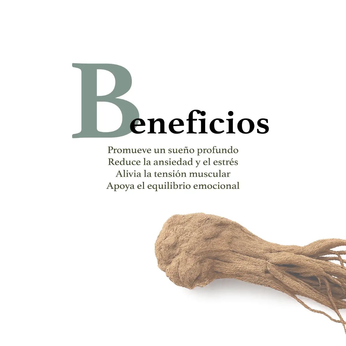 Herbal Secrets® Raíz de Valeriana 500mg 120 Cápsulas - Hi Vitamins