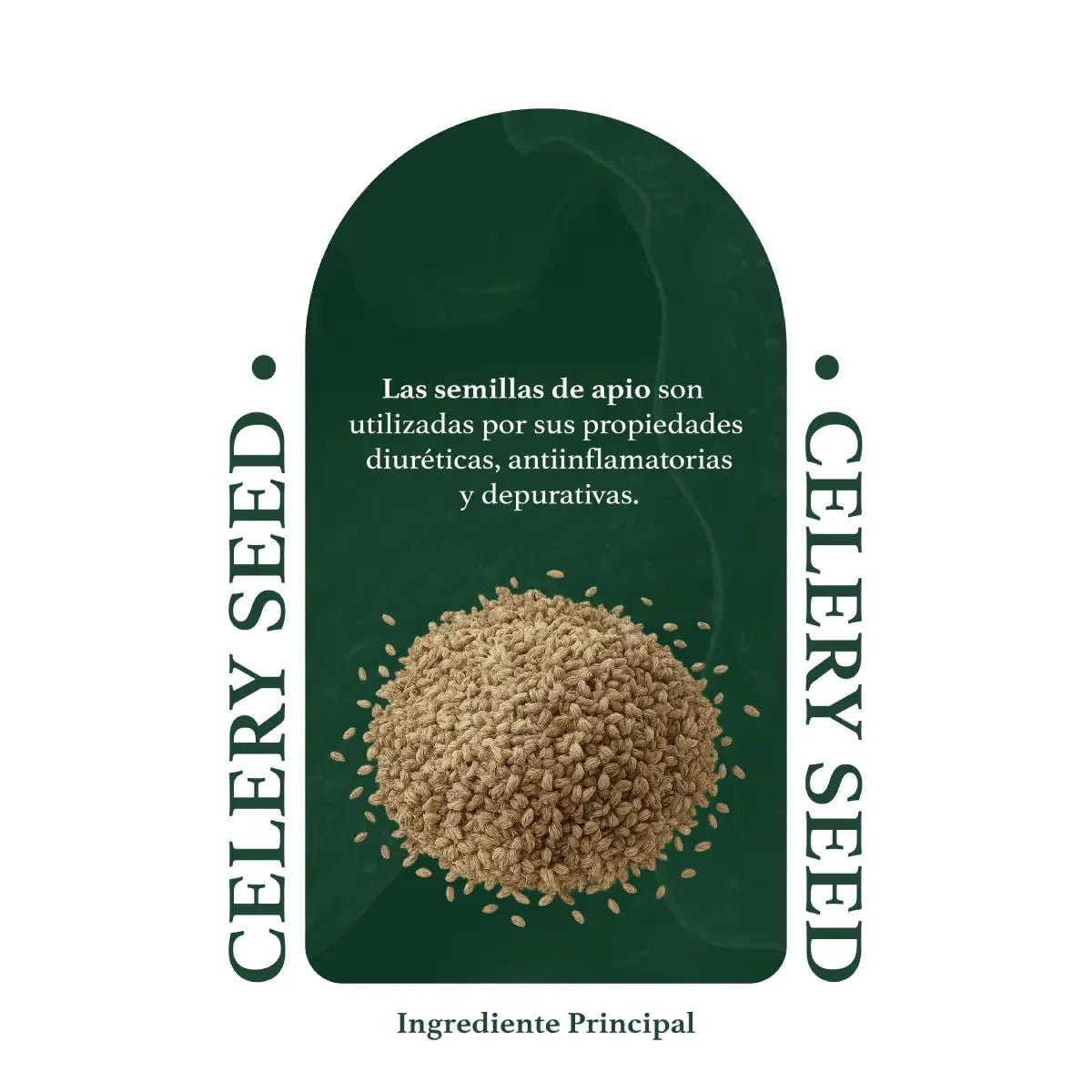 Herbal Secrets® Semillas de Apio 1500mg 120 Cápsulas - Hi Vitamins