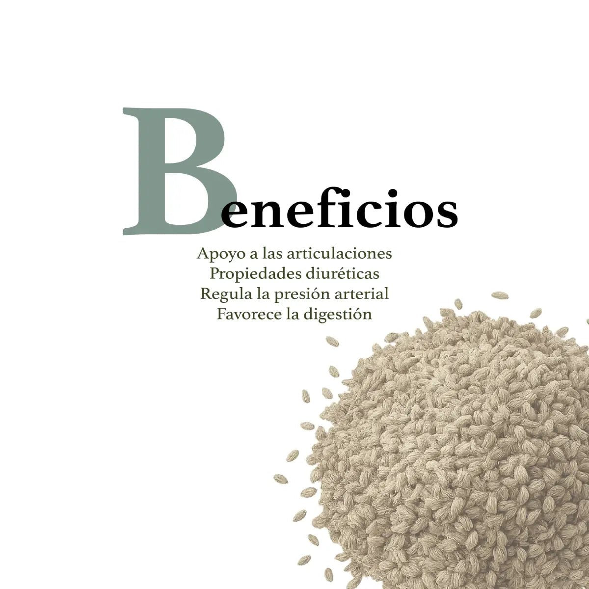 Herbal Secrets® Semillas de Apio 1500mg 120 Cápsulas - Hi Vitamins