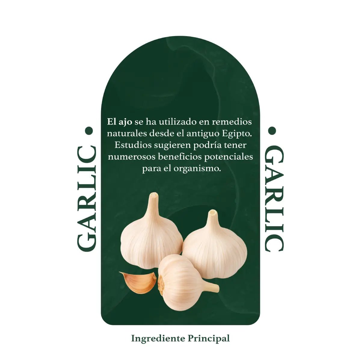 Herbal Secrets® Suplemento de Ajo 500mg 120 Cápsulas - Hi Vitamins