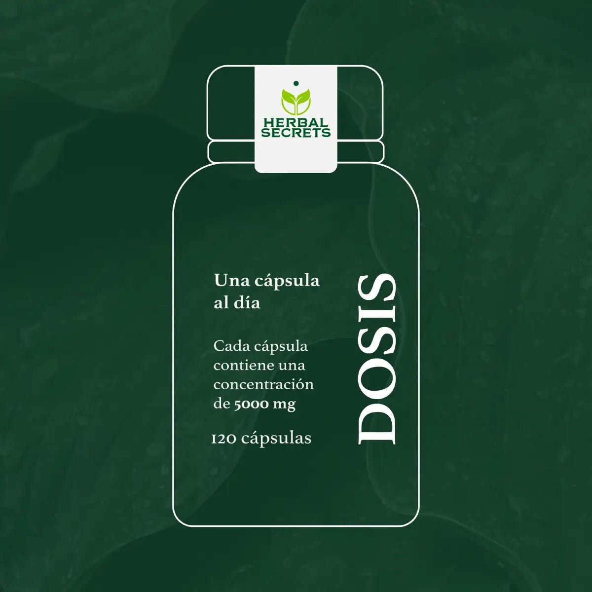 Herbal Secrets® Suplemento de Ajo 500mg 120 Cápsulas - Hi Vitamins