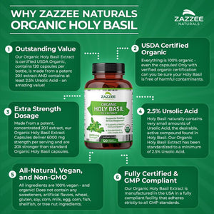 ZAZZEE NATURALS ORGANIC HOLY BASIL 6000MG 120 CAPSULES