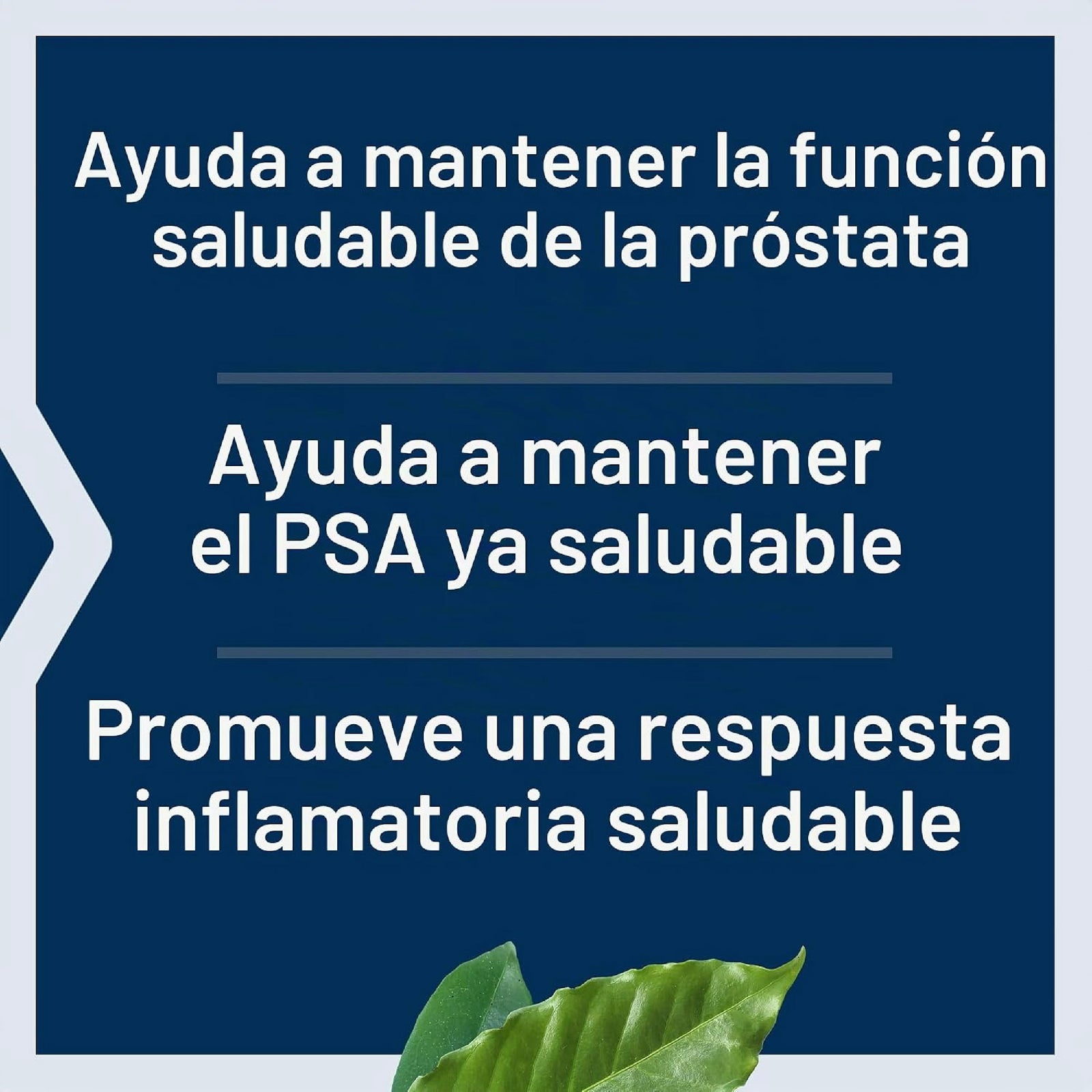 Life Extension Ultra Prostate Formula 60 Cápsulas Blandas Apoyo Salud de la Próstata Flujo Urinario y Bienestar Masculino
