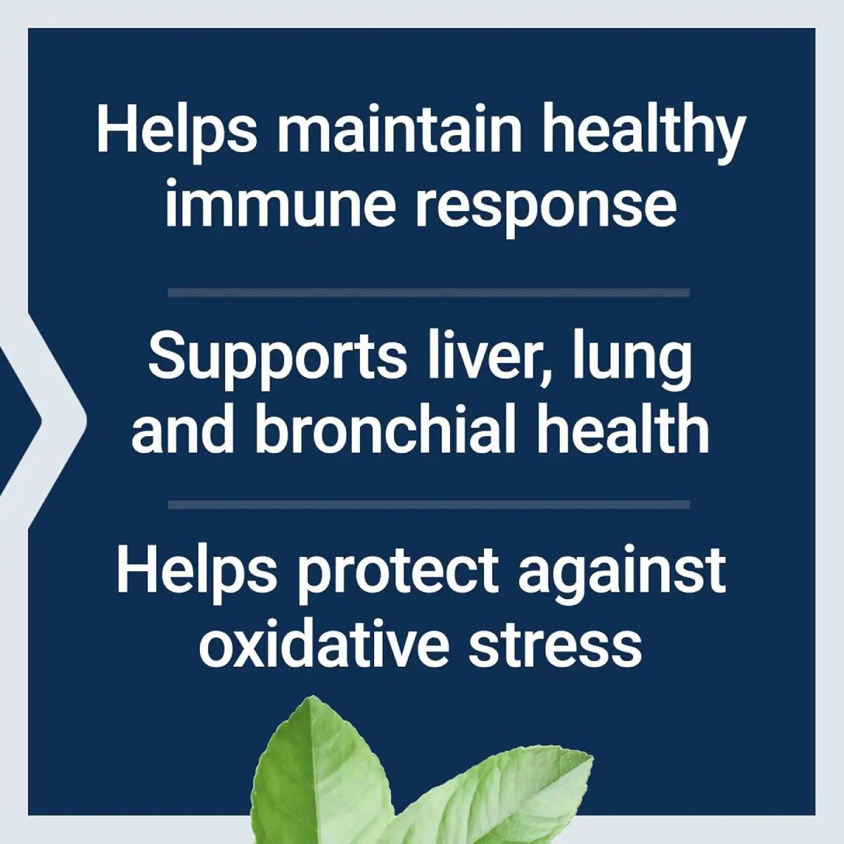 Life Extension N - Acetil - L - Cisteína (NAC) 600 Mg 60 Cápsulas - Hi Vitamins