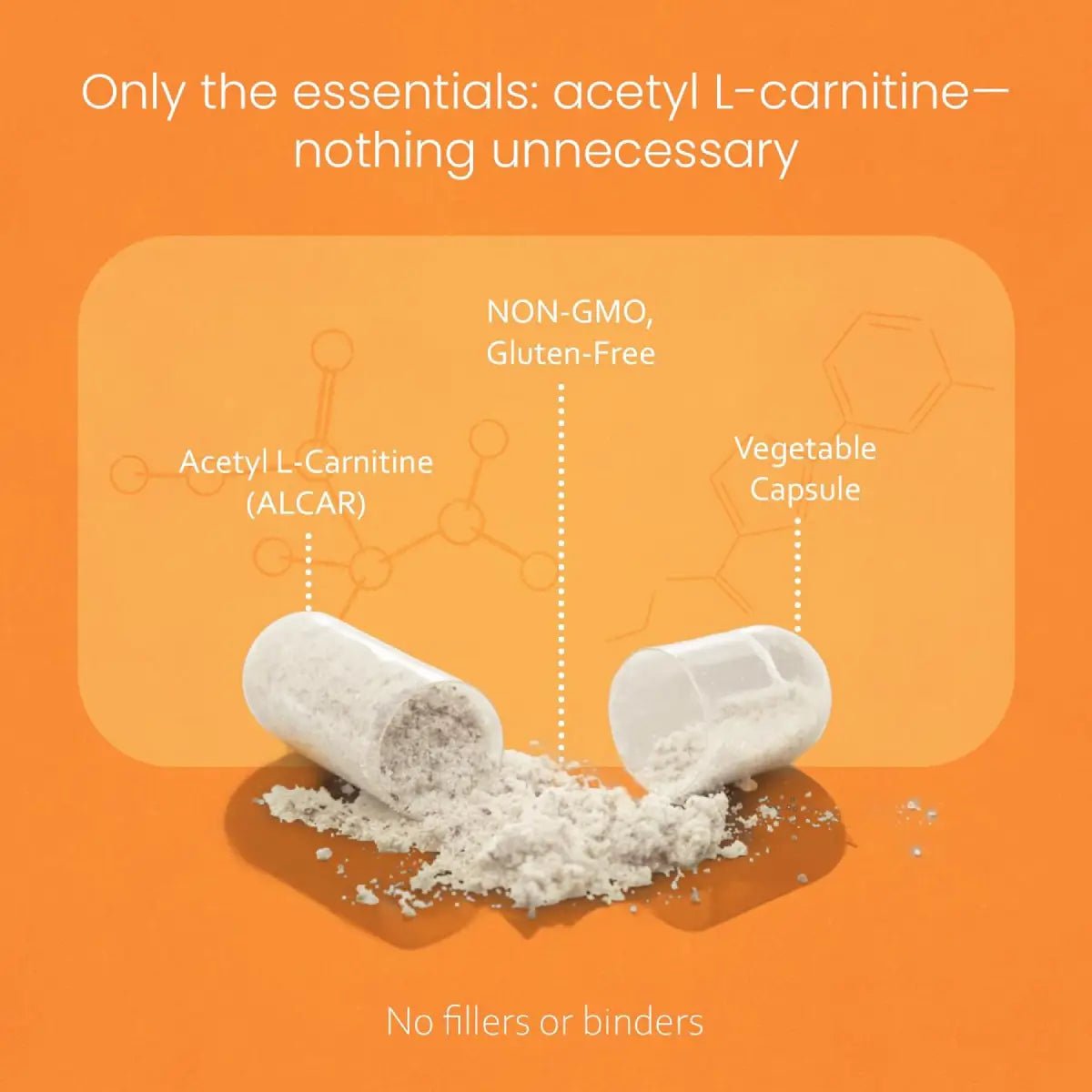 NaturaLife Labs Acetil L - Carnitina 1500 mg 100 Cápsulas - Hi Vitamins