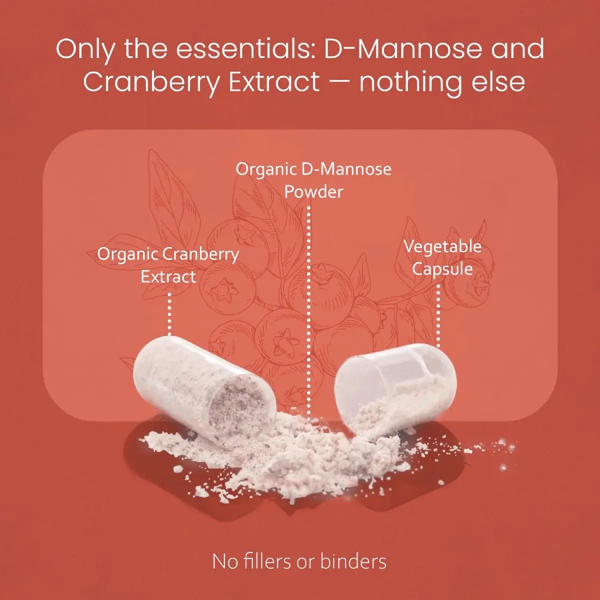 NaturaLife Labs D - Mannose 1,300 Mg 100 Cápsulas - Hi Vitamins