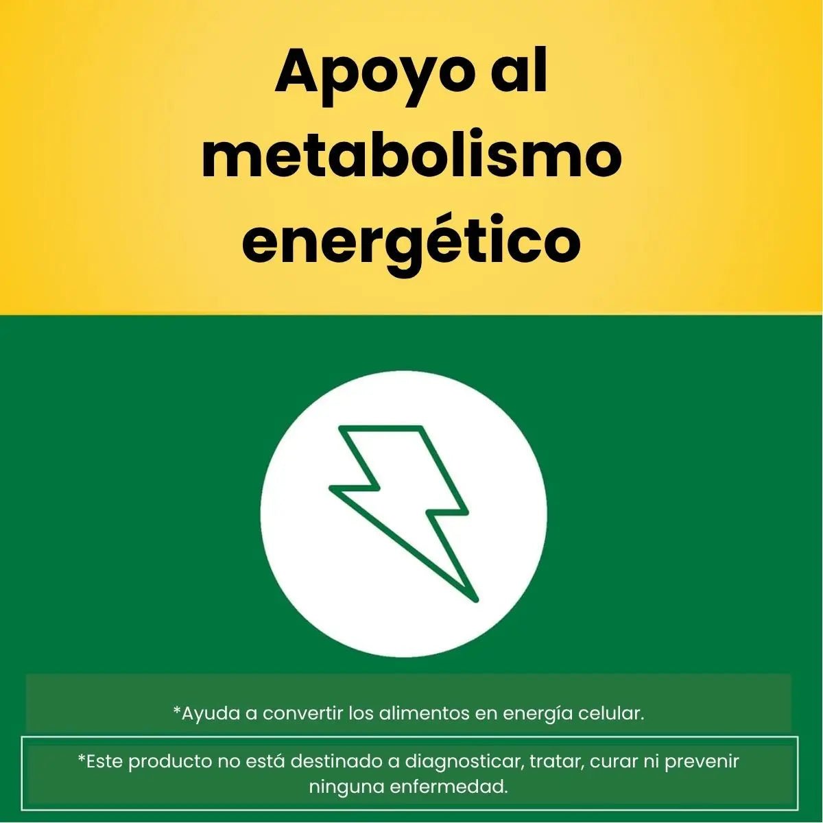 Nature Made Complejo B para Energía 60 softgels - Hi Vitamins