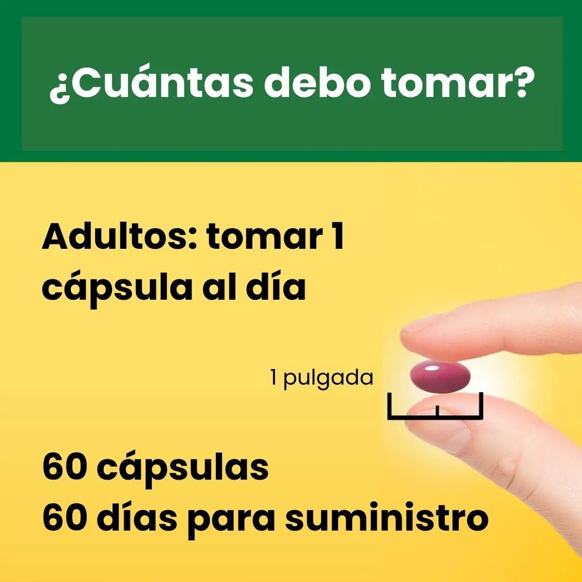 Nature Made Complejo B para Energía 60 softgels - Hi Vitamins